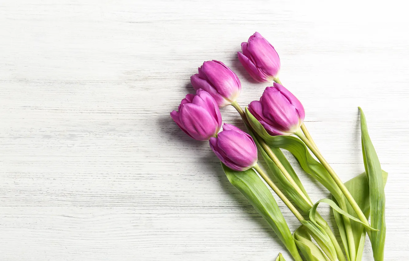 Photo wallpaper flowers, bouquet, tulips, wood, flowers, tulips, spring, purple