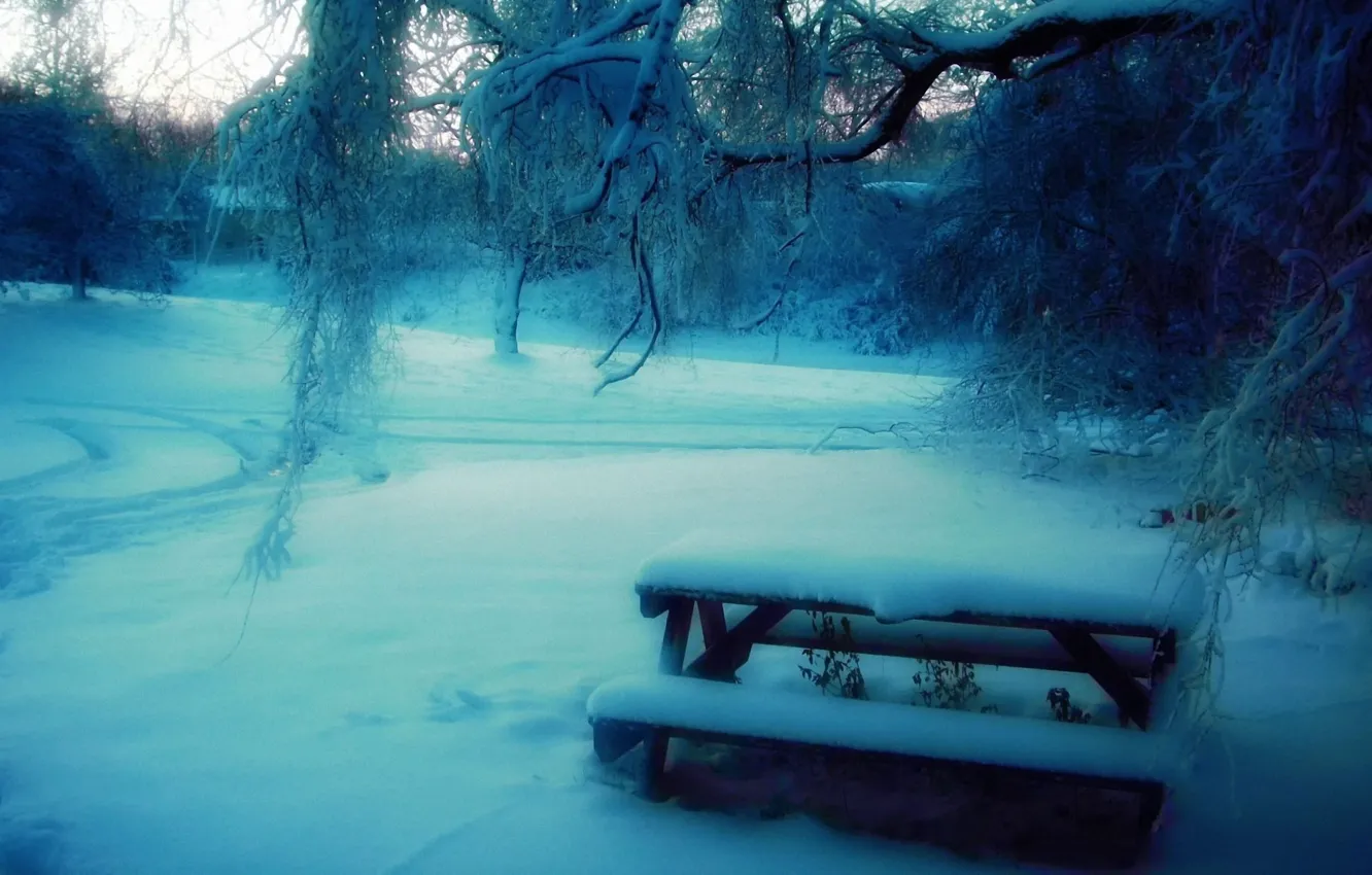 Photo wallpaper winter, snow, trees, bench, Park, blur, table