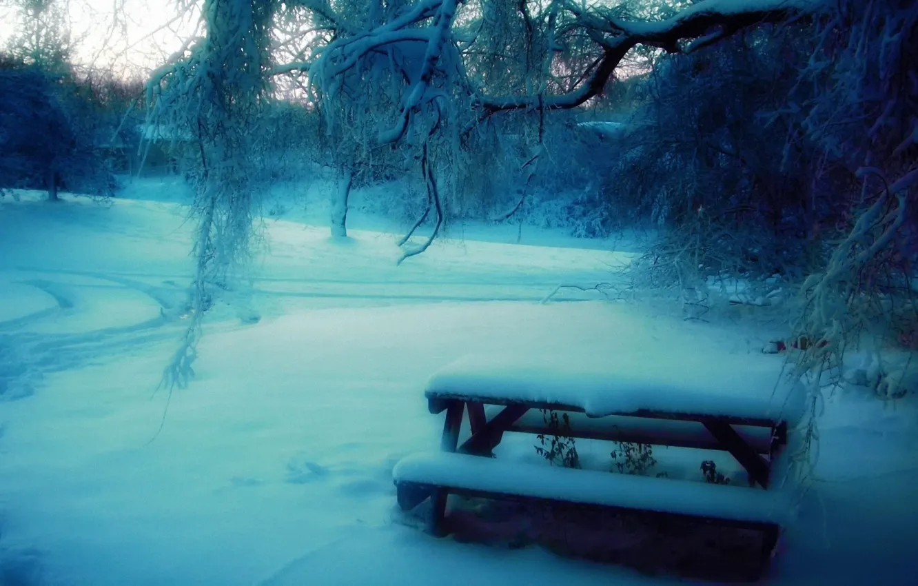 Photo wallpaper snow, trees, bench, Park, Winter, blur, table