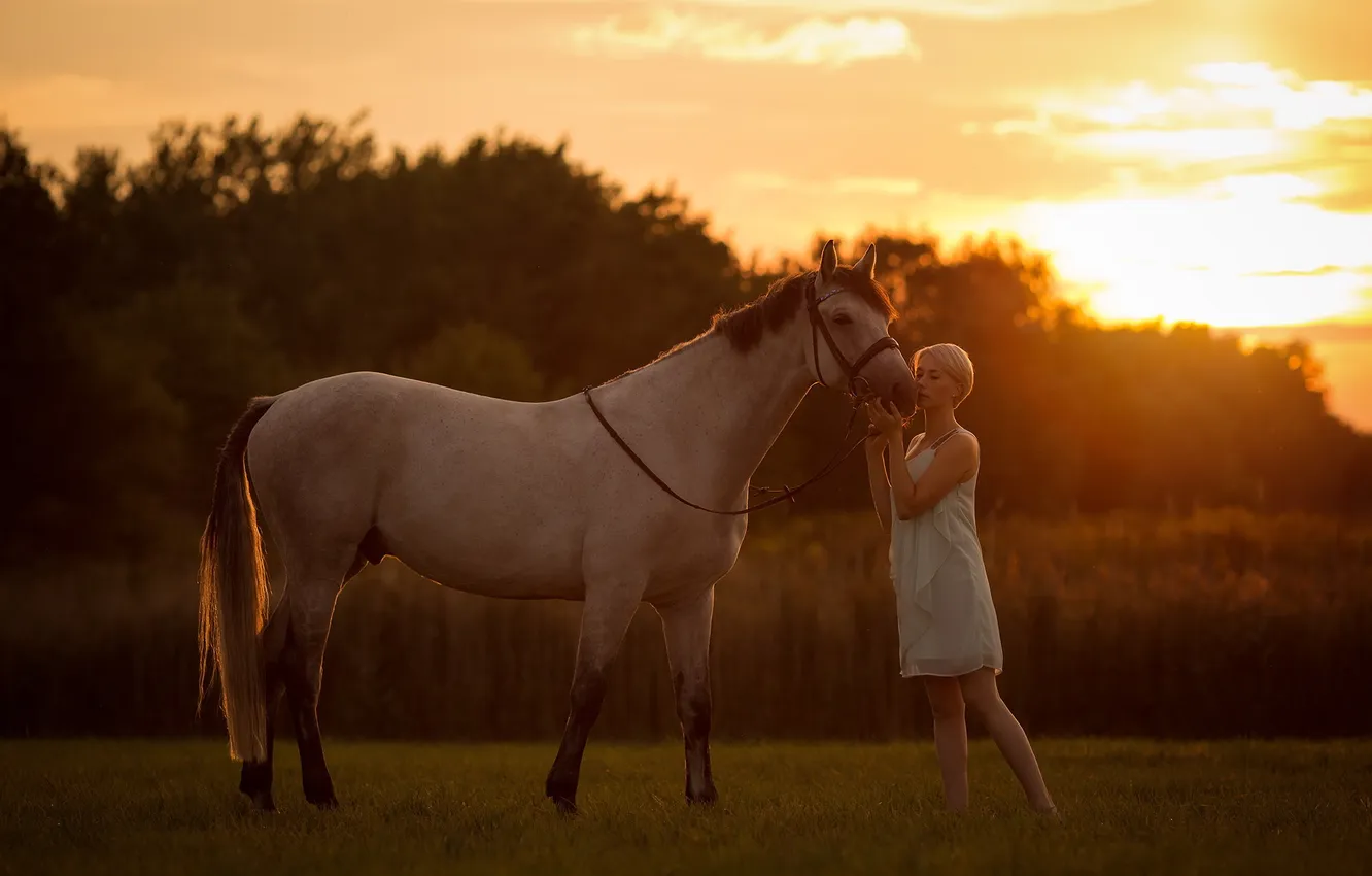 Photo wallpaper girl, mood, horse