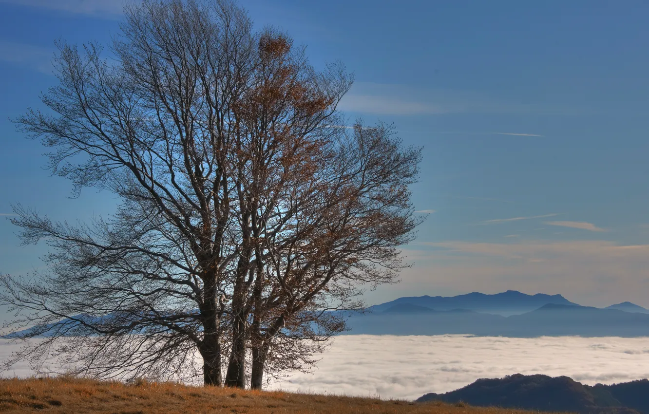 Photo wallpaper clouds, trees, mountains