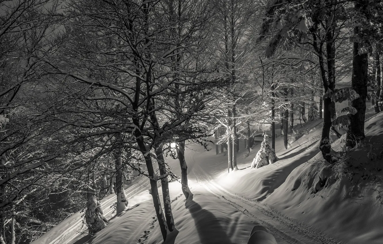 Photo wallpaper winter, snow, night