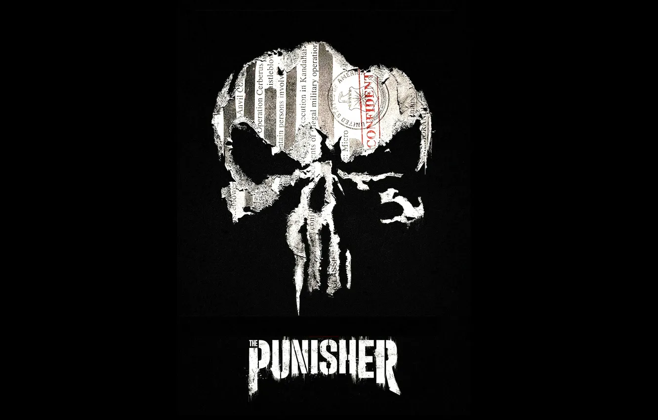 Photo wallpaper skull, Punisher, Marvel, the Punisher
