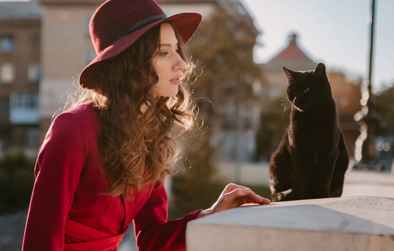 Photo wallpaper cat, girl, black, hat
