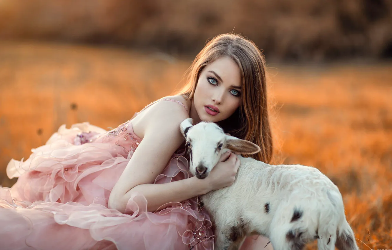 Photo wallpaper girl, model, beauty, portrait, goat, lamb, photo by Alessandro di Cicco