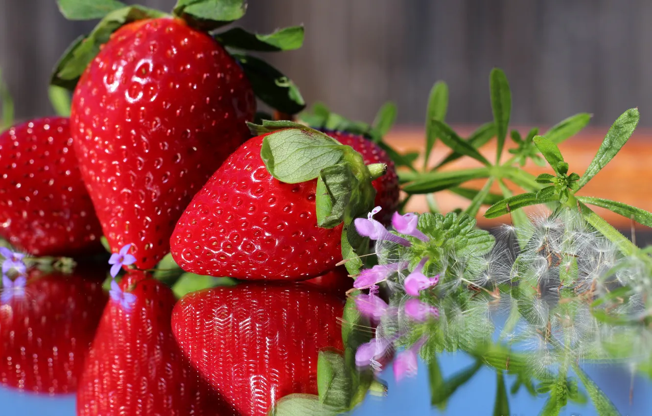 Photo wallpaper flowers, strawberry, ripe, delicious, juicy