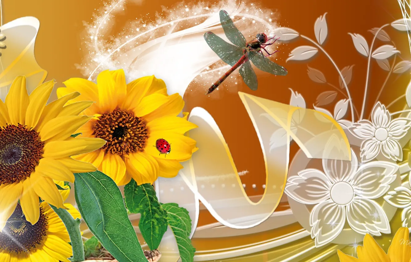 Photo wallpaper flowers, insects, nature, collage, ladybug, dragonfly, petals
