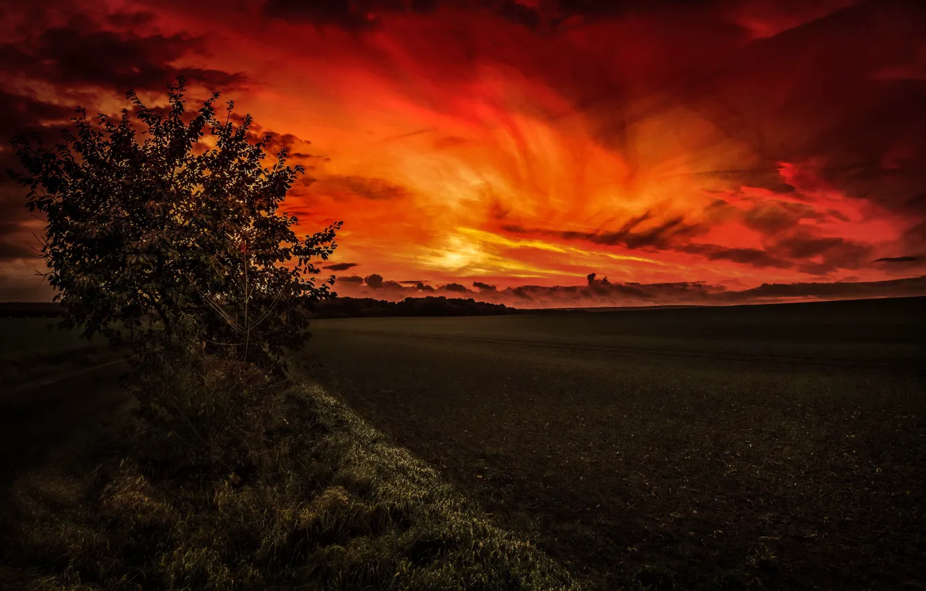 Photo wallpaper field, the sky, landscape, sunset