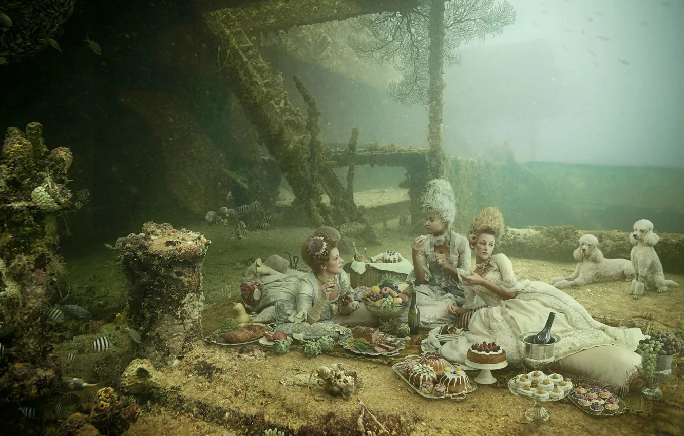 Photo wallpaper dogs, style, girls, humor, dress, under water, Picnic, Victorian