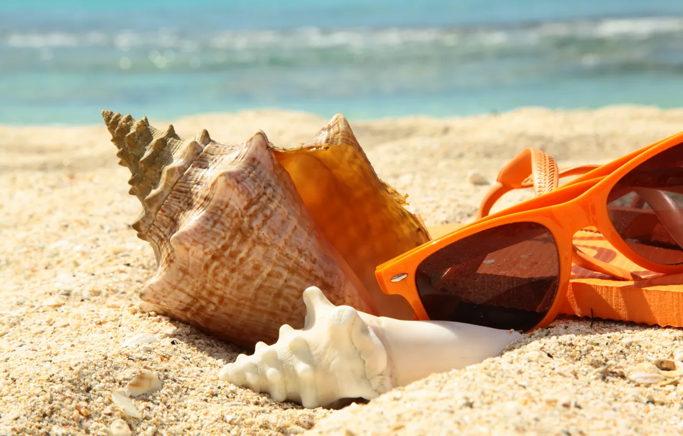 Photo wallpaper sand, sea, beach, summer, stay, shell, glasses, summer