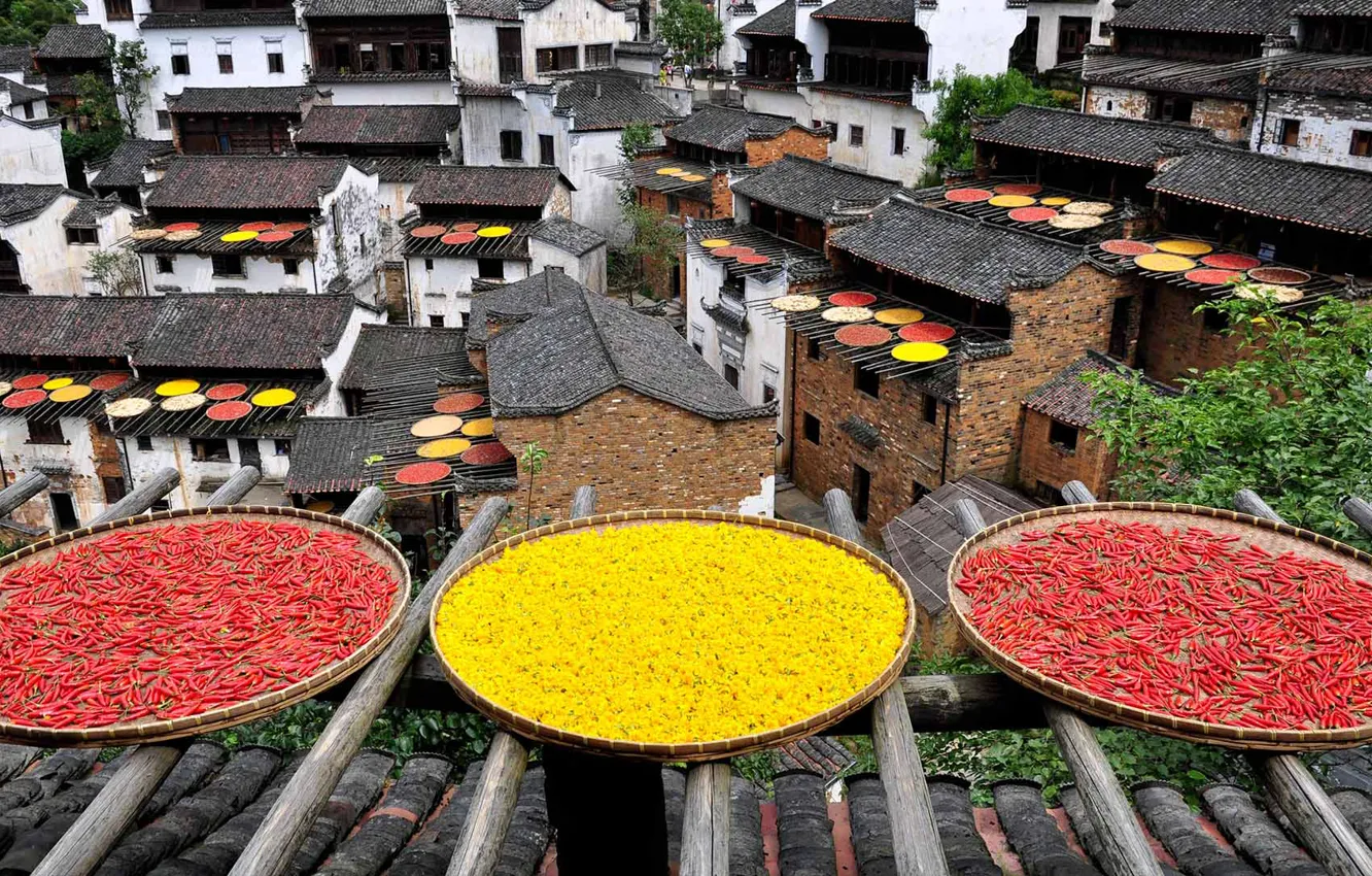 Photo wallpaper roof, China, pepper, chrysanthemum, dish, drying, Jiangxi