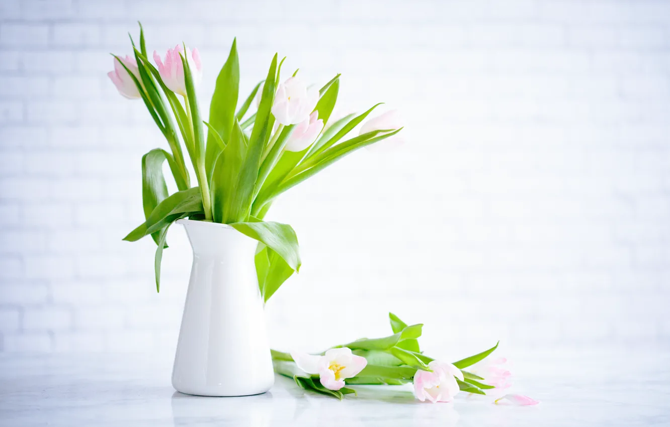 Photo wallpaper flowers, bouquet, tulips