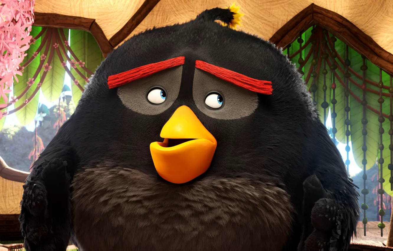Photo wallpaper cinema, game, black, bird, eyes, wings, feathers, cartoon