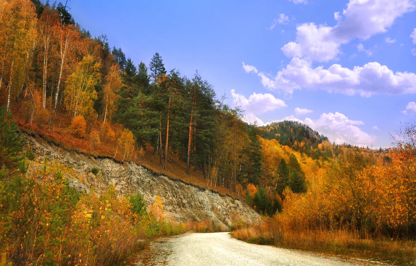 Photo wallpaper road, autumn, forest, the sky, leaves, clouds, trees, nature