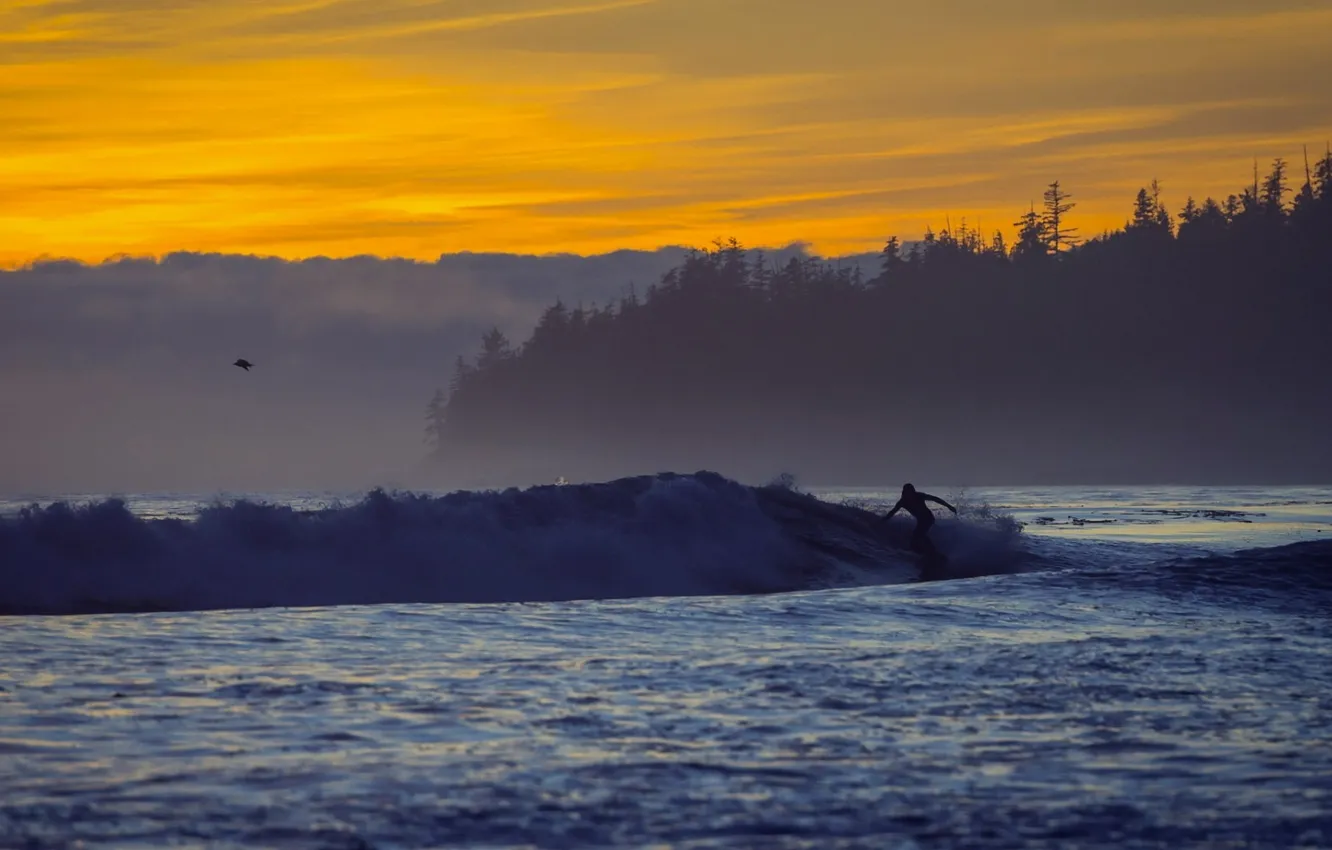 Photo wallpaper sunset, surfer, Sombrio Beach