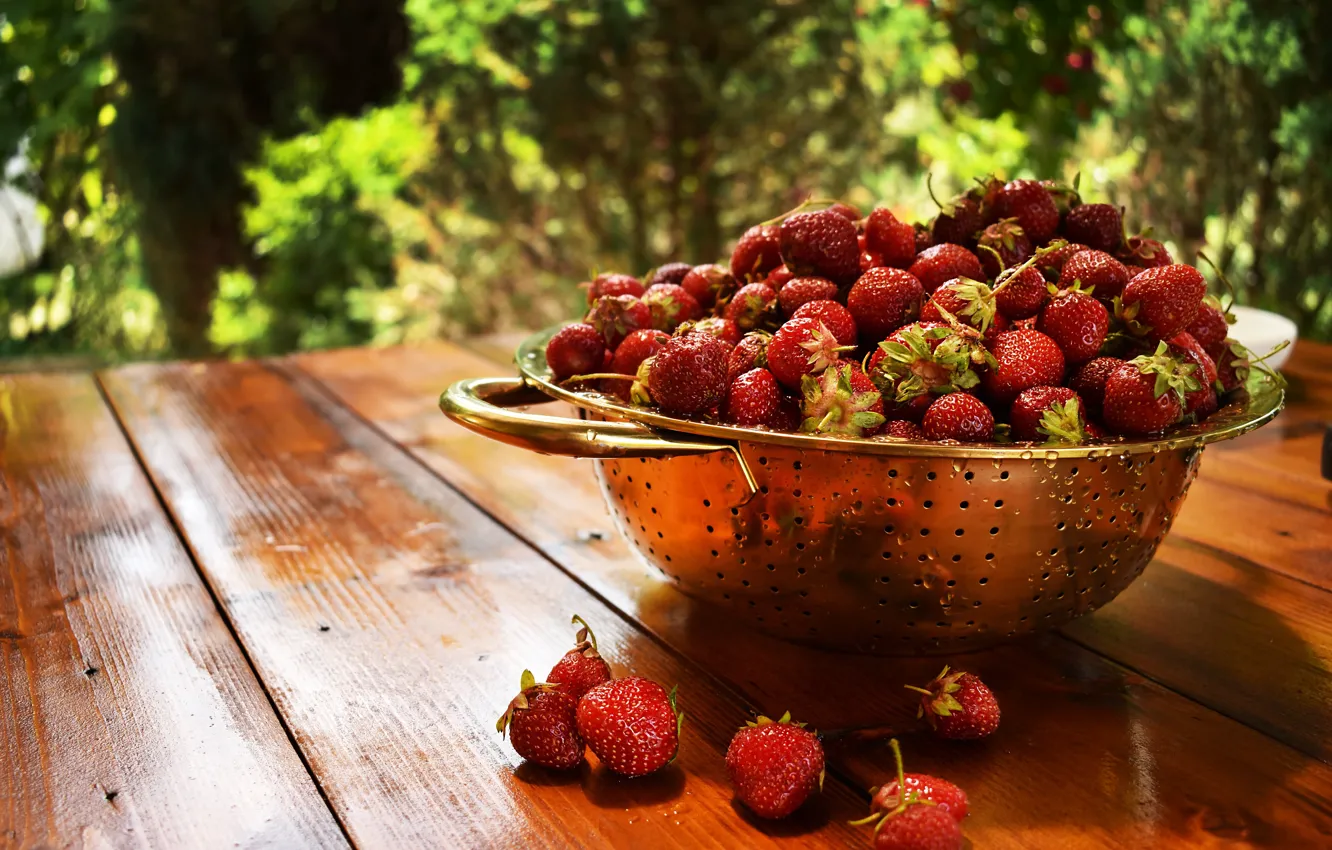 Photo wallpaper drops, nature, berries, table, rain, moisture, garden, harvest