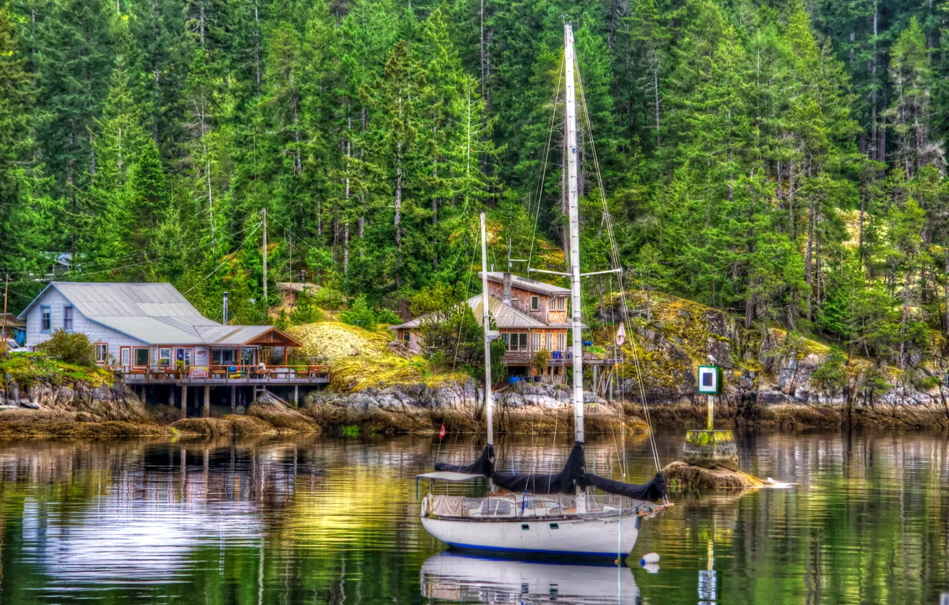 Photo wallpaper forest, trees, lake, stones, shore, treatment, yacht, houses