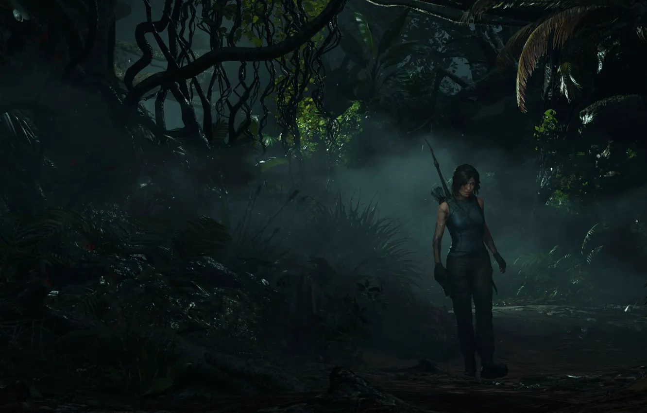 Photo wallpaper fog, bow, dirt, jungle, Lara Croft, adventure, fern, jungle