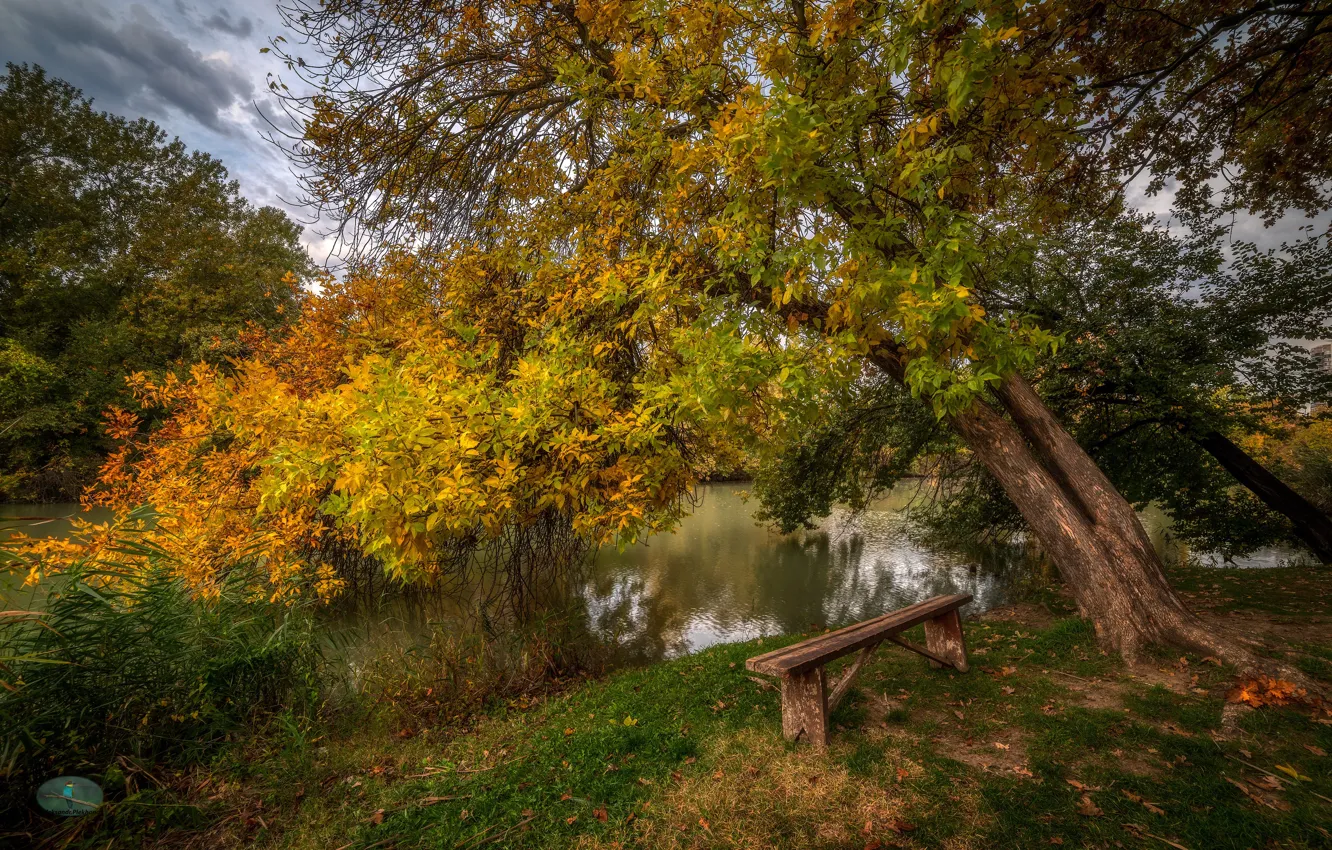 Photo wallpaper autumn, trees, landscape, nature, shore, shop, pond, Alexander Plekhanov