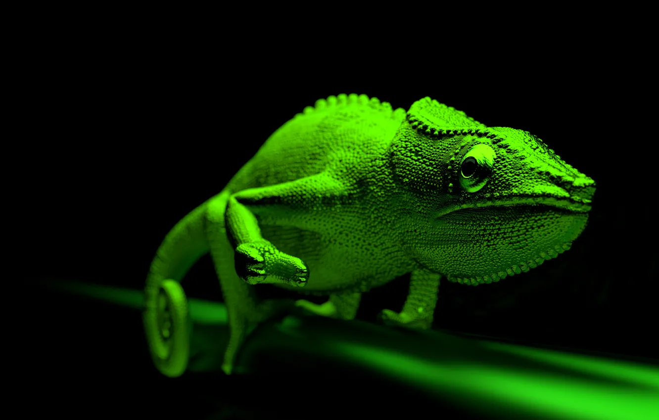 Photo wallpaper eyes, green, chameleon, lizard