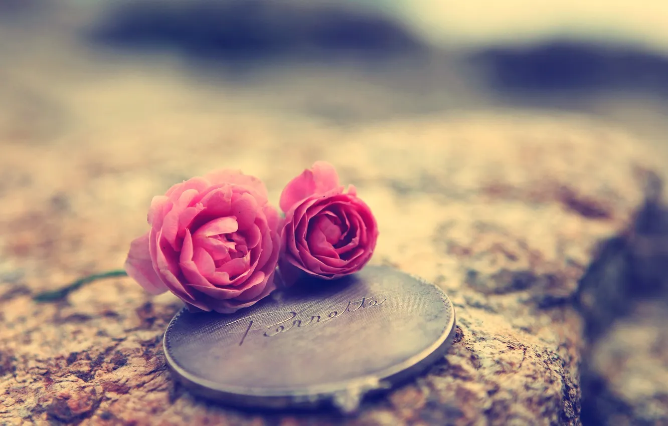 Photo wallpaper background, mood, Wallpaper, roses, petals, mirror
