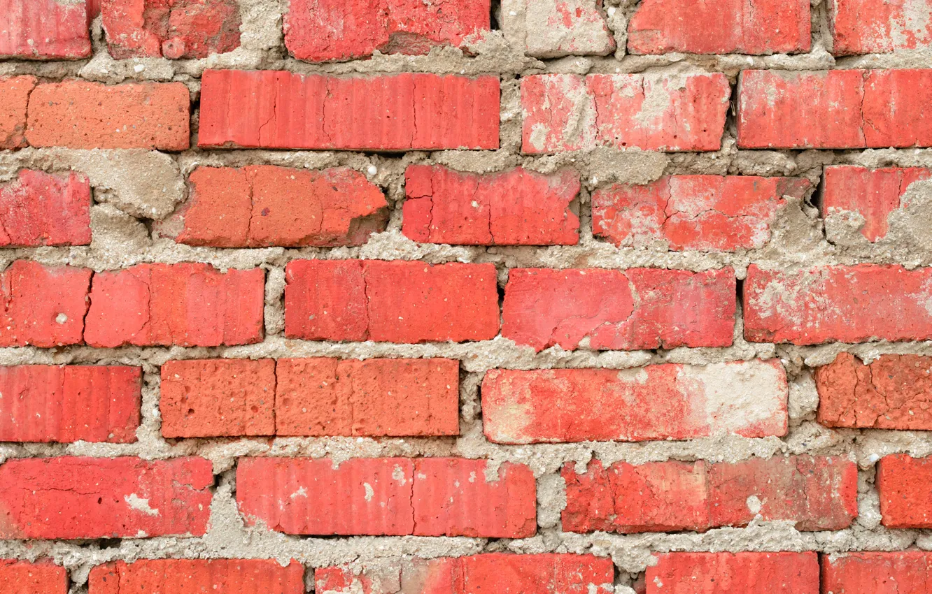 Photo wallpaper wall, concrete, cement, Bricks
