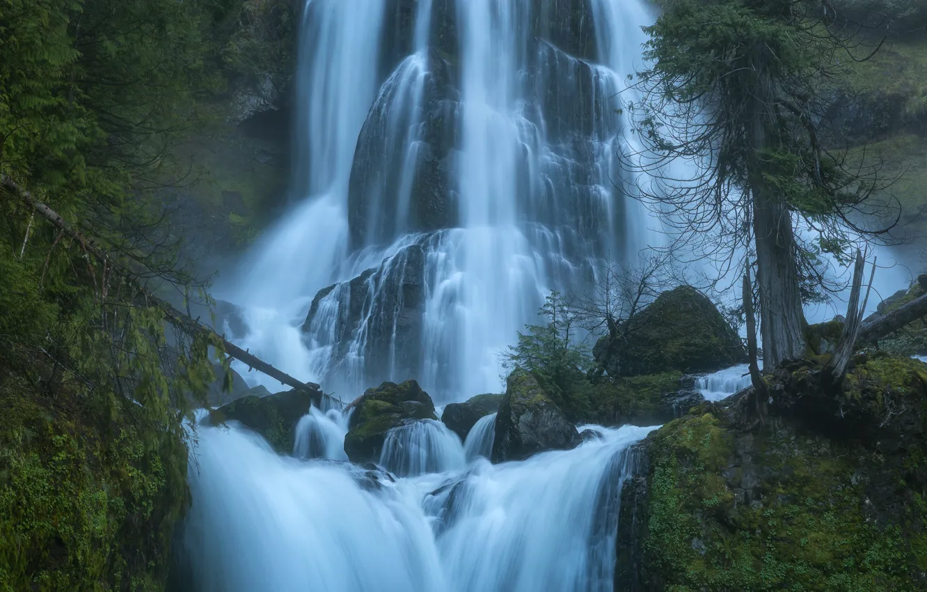 Photo wallpaper trees, stones, waterfall, cascade, Washington, Washington, Columbia River Gorge, Falls Creek Falls