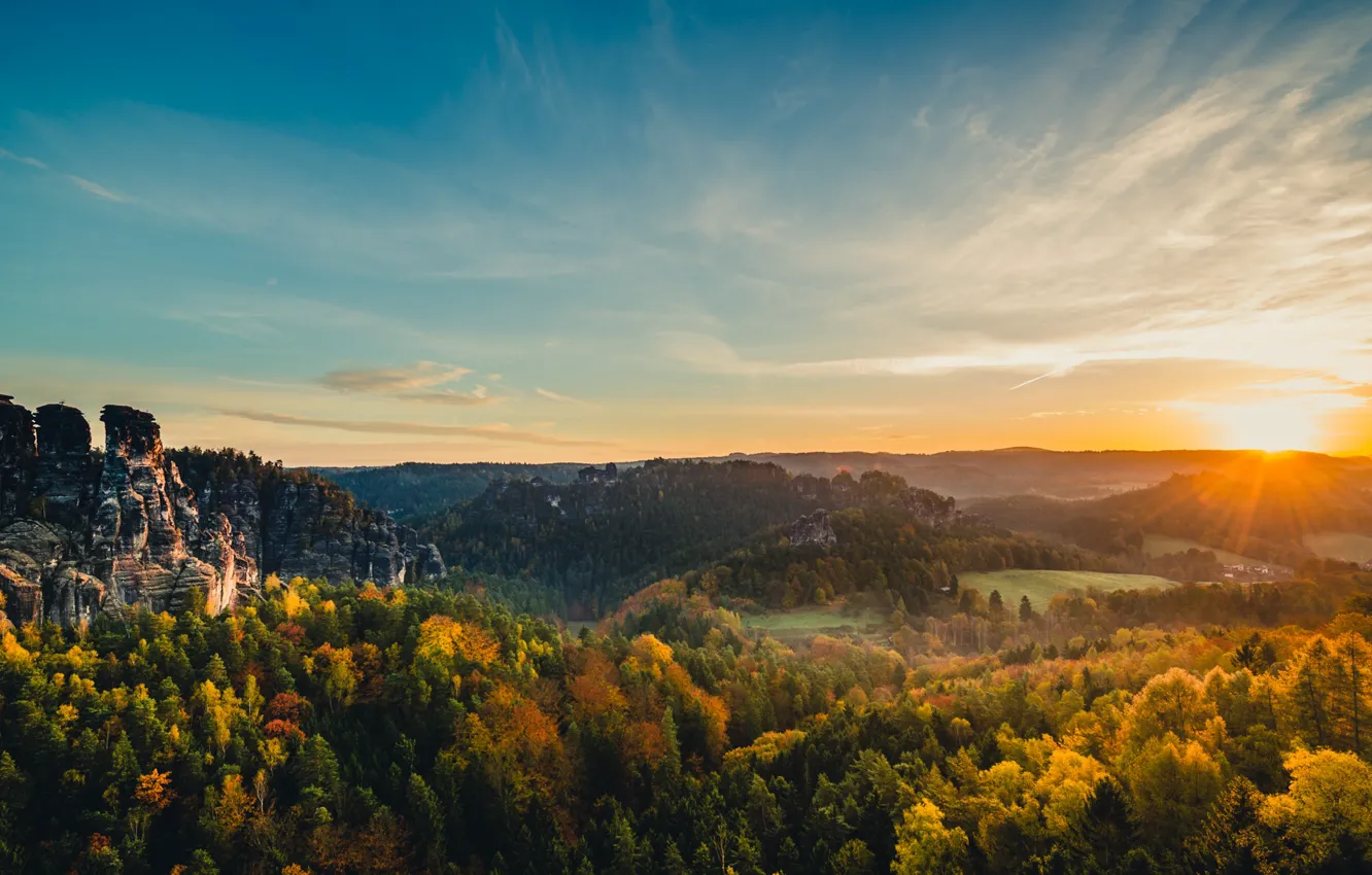 Photo wallpaper forest, the sun, mountains, rocks, Germany, Elbe Sandstone mountains