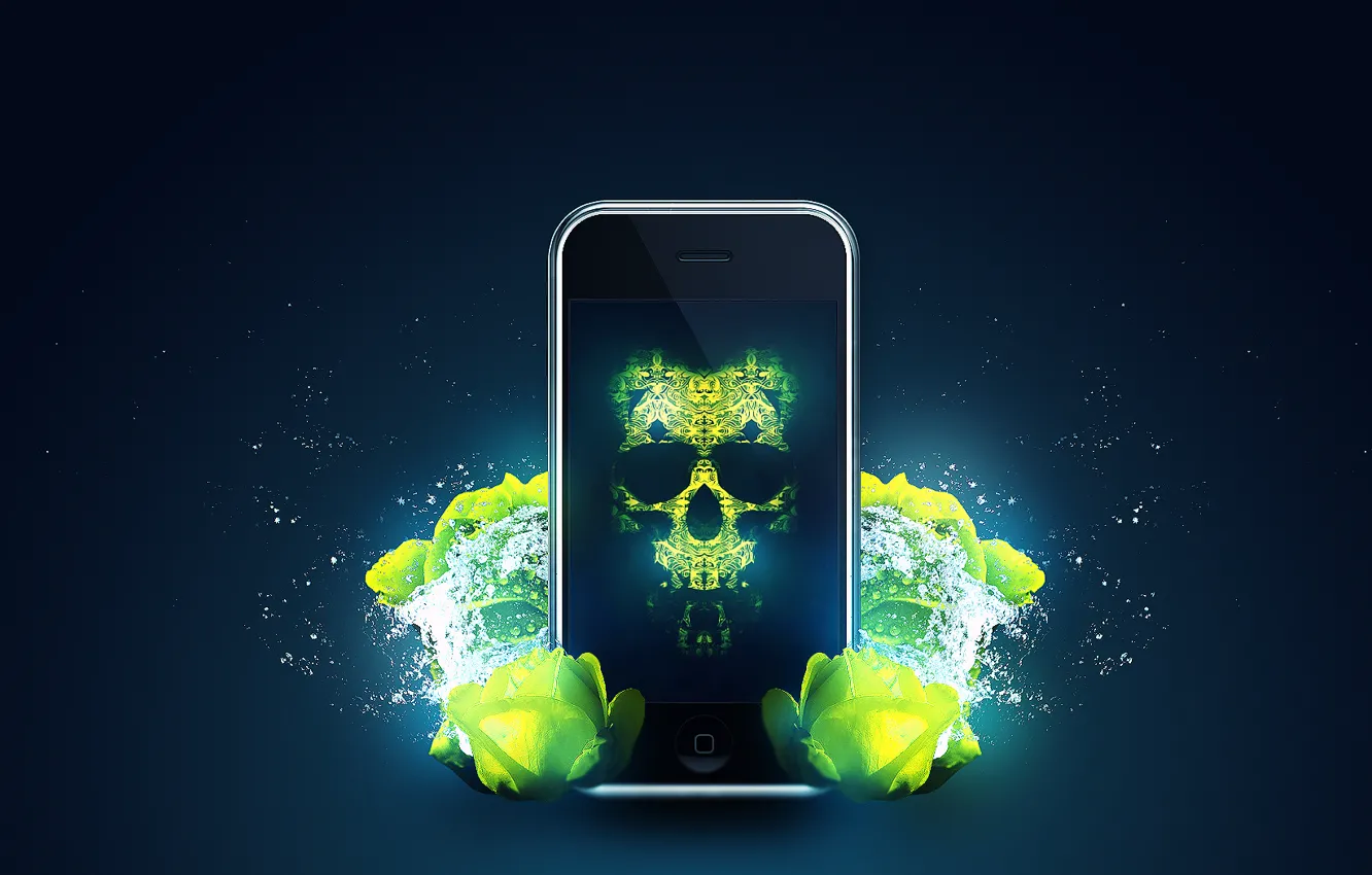 Photo wallpaper squirt, iPhone, skull, roses, ablation
