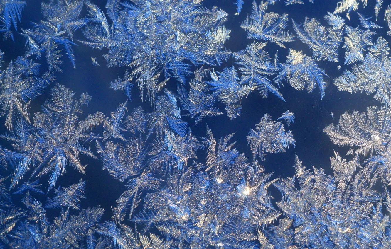 Photo wallpaper frost, macro, pattern, frost