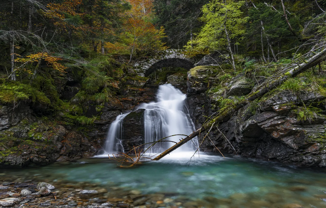 Photo wallpaper bridge, log, waterfall, shore, arch, foliage, rocks, autumn