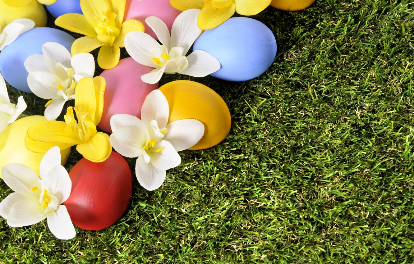 Photo wallpaper flowers, holiday, eggs, spring, Easter, grass, weed, flowers