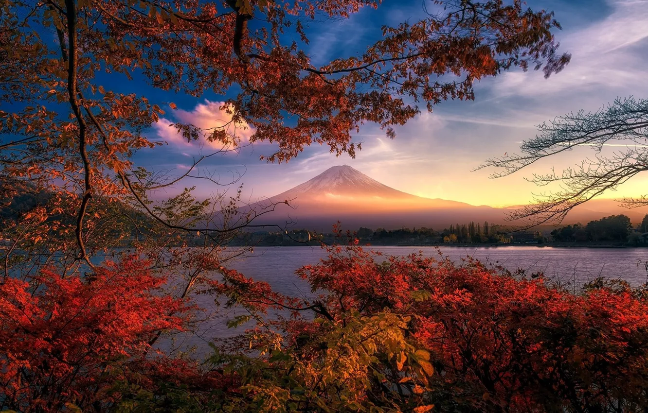 Photo wallpaper autumn, landscape, sunset, mountains, branches, nature, beauty