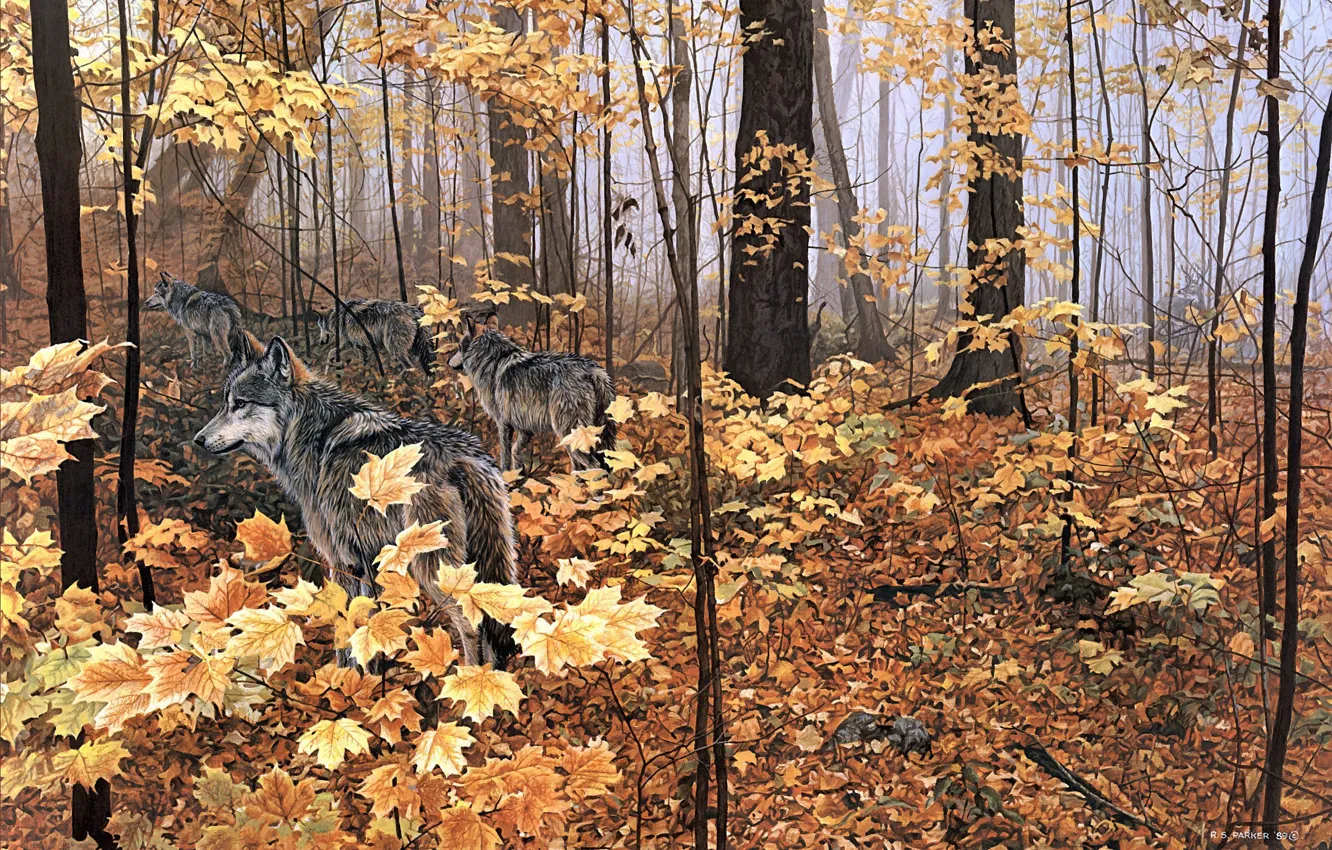 Photo wallpaper autumn, forest, animals, nature, yellow leaves, wolves, maple, painting