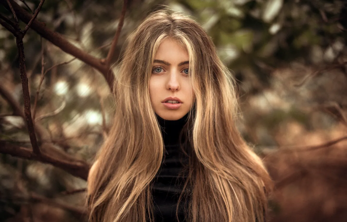 Photo wallpaper look, girl, branches, face, sweetheart, portrait, blonde, light