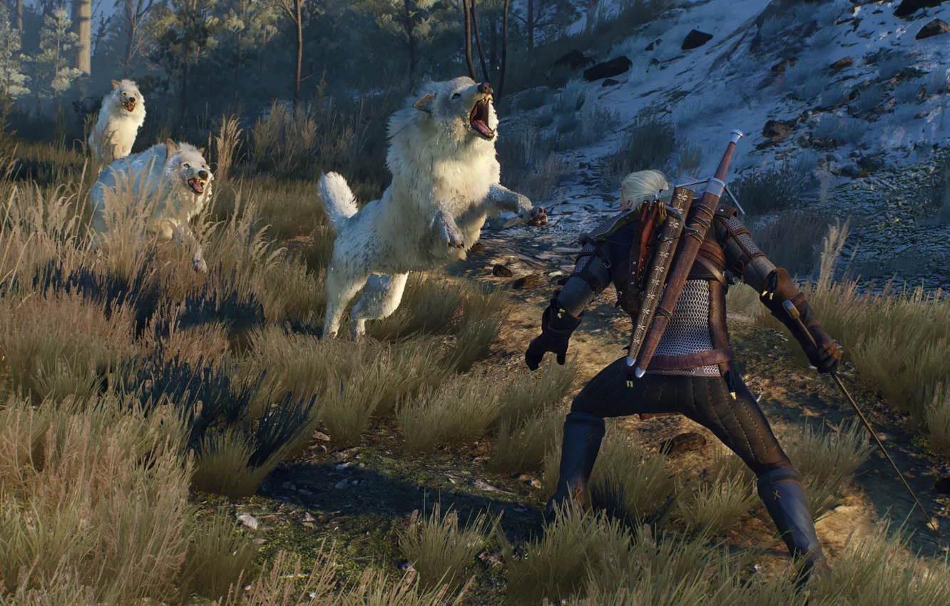 Photo wallpaper Wolves, The Witcher, White, Wolf, Medieval, The Witcher 3, Wild Hunt, Geralt