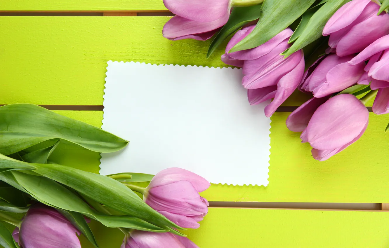 Photo wallpaper flowers, bouquet, tulips, pink, wood, pink, flowers, beautiful