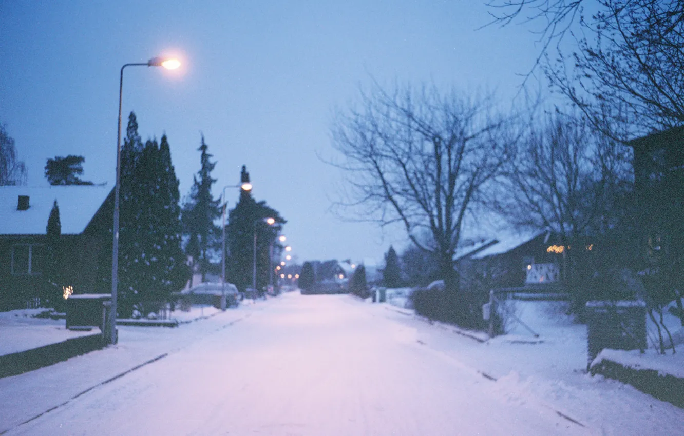 Photo wallpaper winter, light, trees, street, home, lamp post