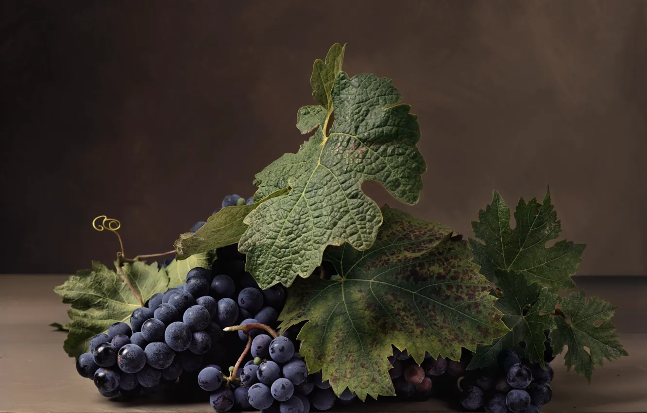 Photo wallpaper leaves, berries, grapes