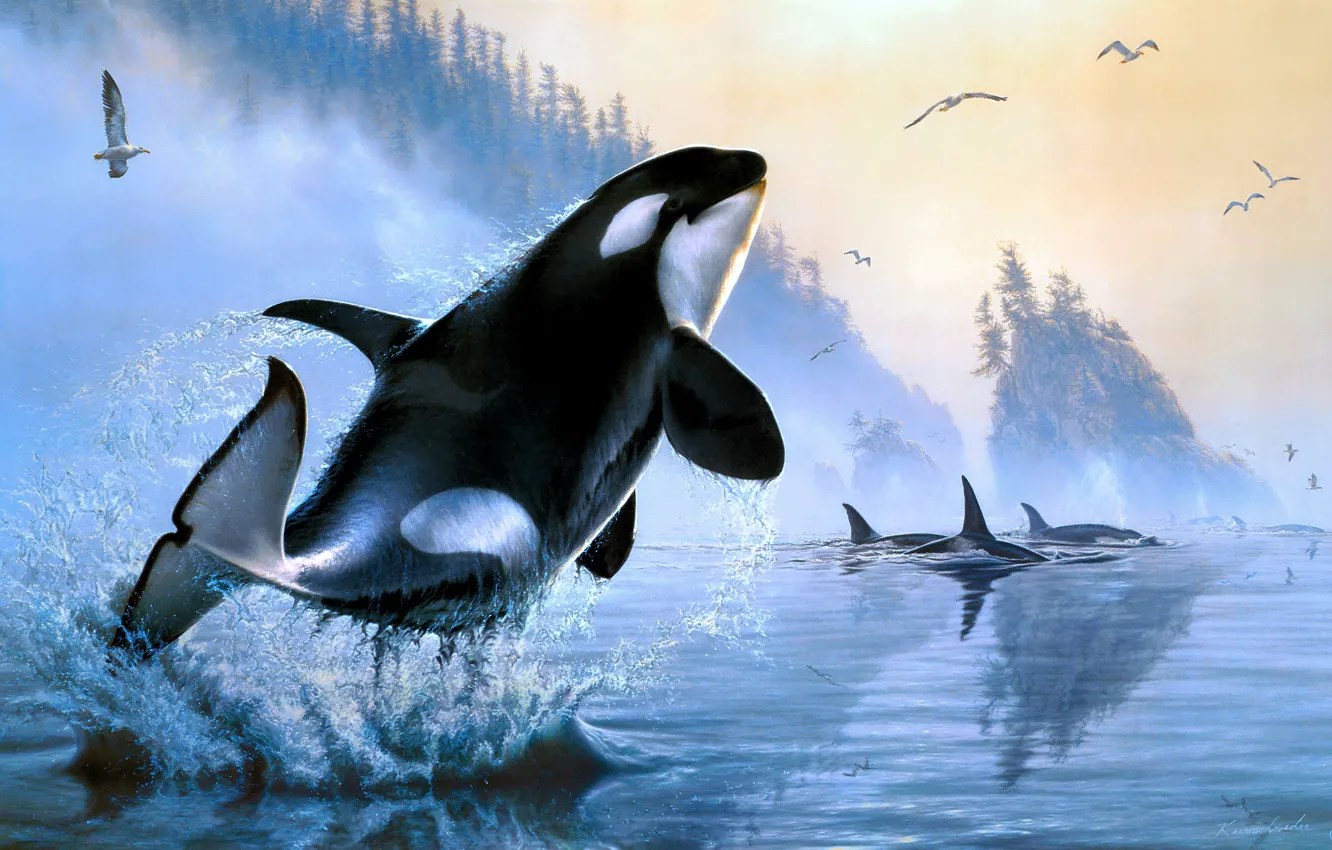 Photo wallpaper forest, water, mountains, squirt, nature, fog, reflection, rocks