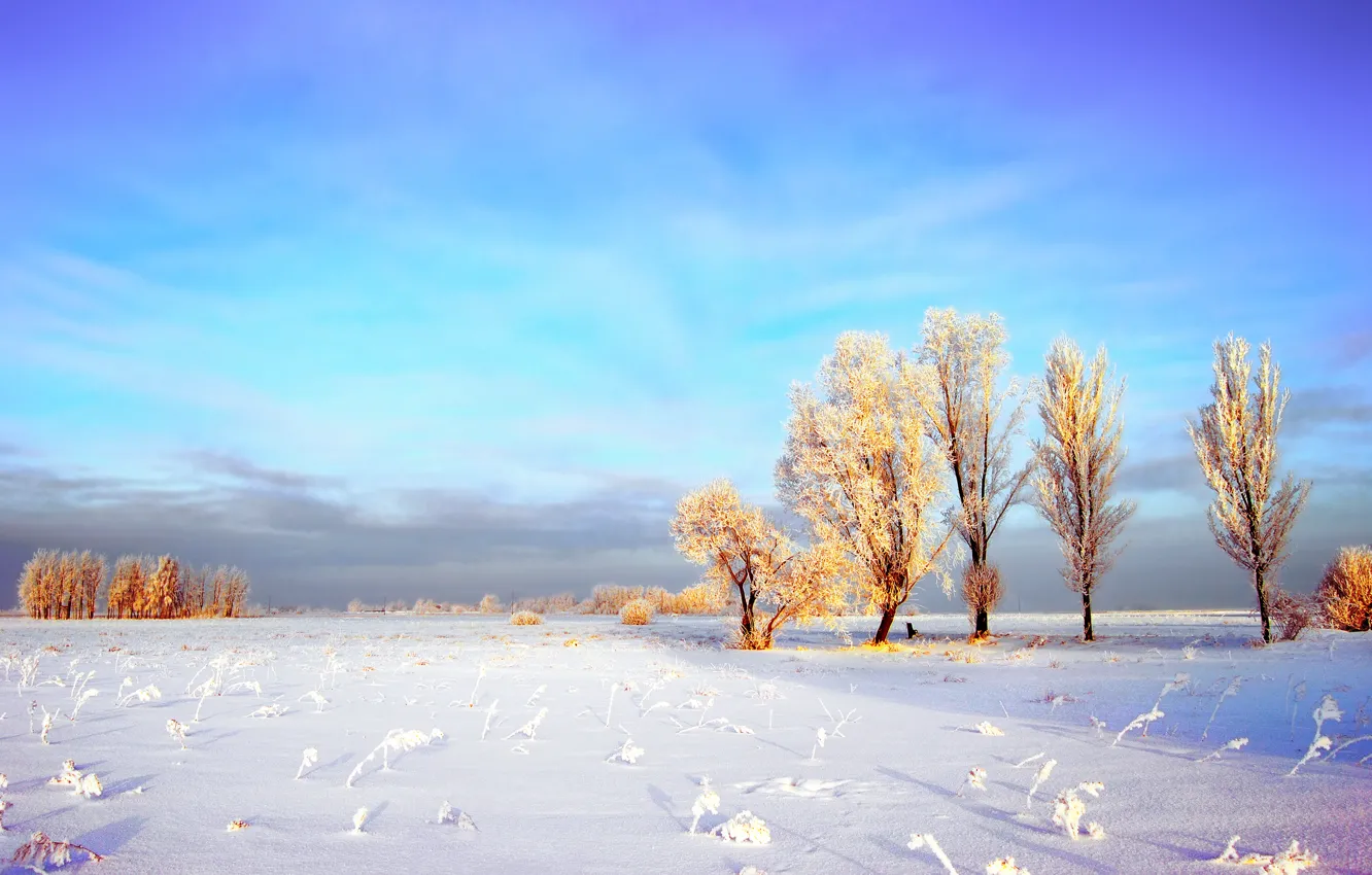 Photo wallpaper winter, frost, field, the sky, clouds, snow, trees