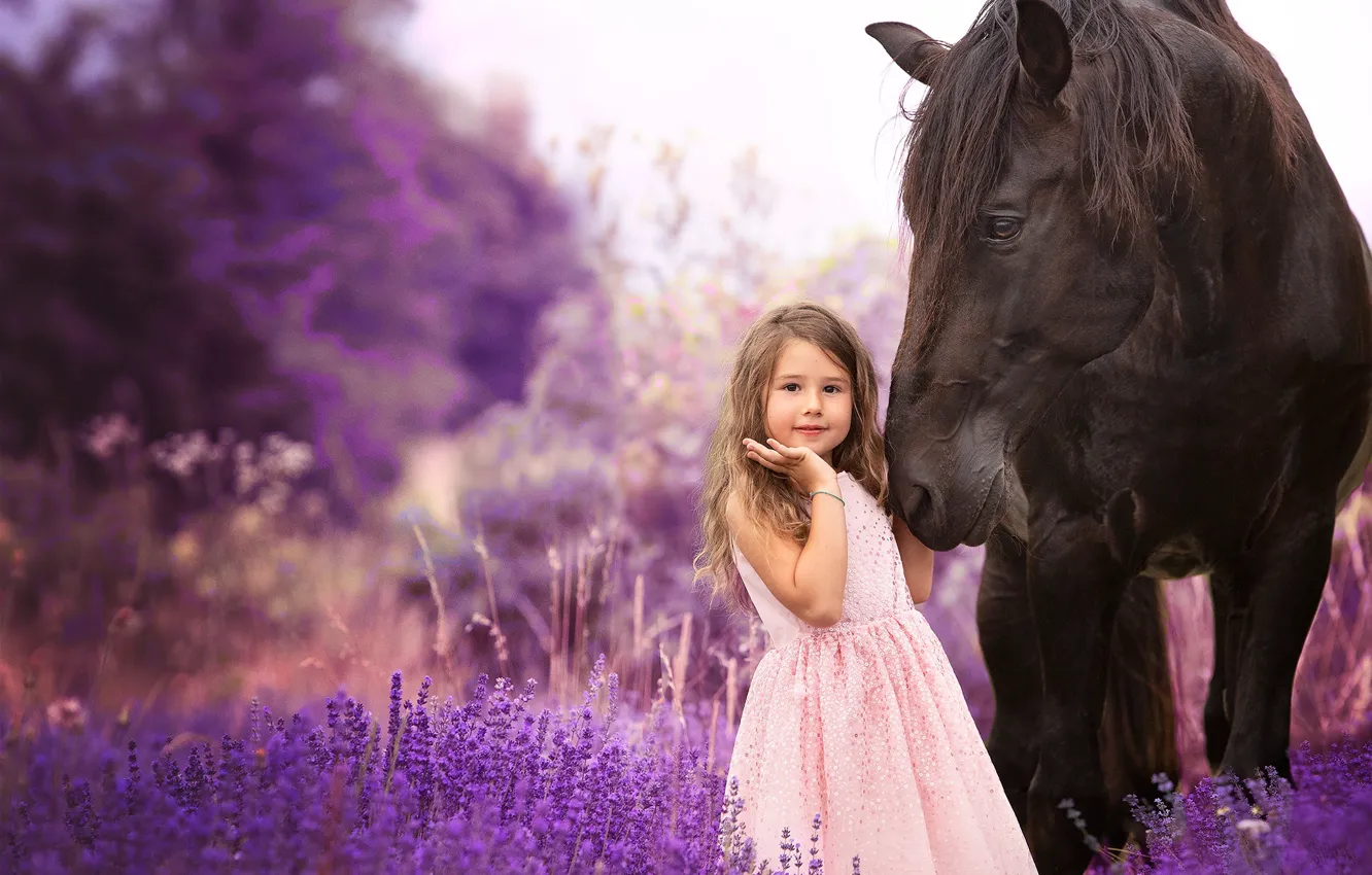 Photo wallpaper flowers, horse, horse, girl, lavender, lavender field