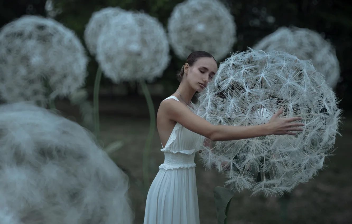 Photo wallpaper girl, flowers, nature, pose, style, dandelion, glade, the scenery