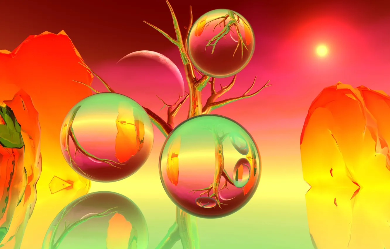 Photo wallpaper branches, reflection, background, balls