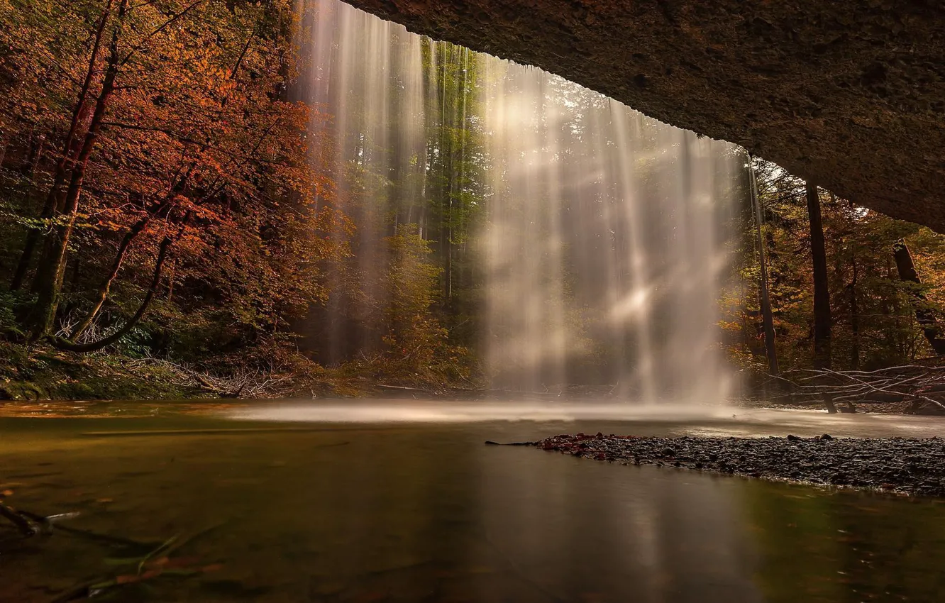 Photo wallpaper forest, autumn, waterfall