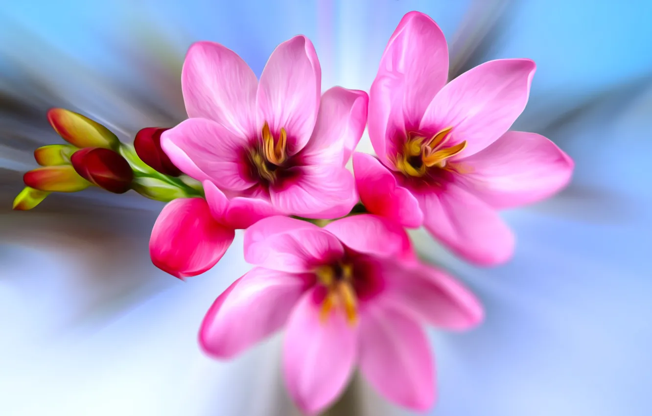Photo wallpaper Flowers, pink, Rozmyte