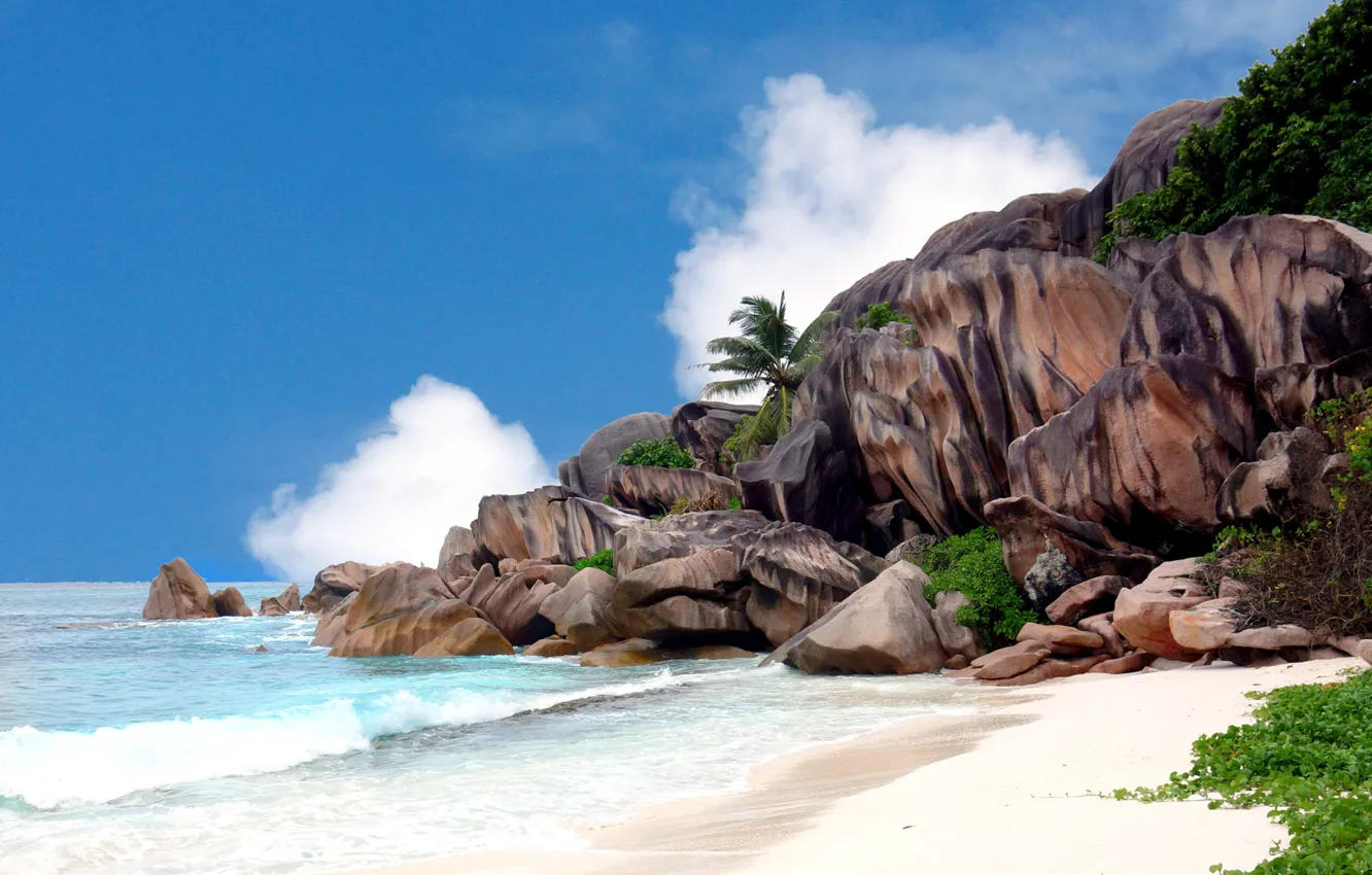 Photo wallpaper sea, the sky, clouds, stones, palm trees, rocks