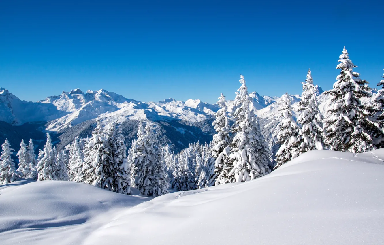 Photo wallpaper winter, the sky, snow, trees, landscape, mountains, nature, blue