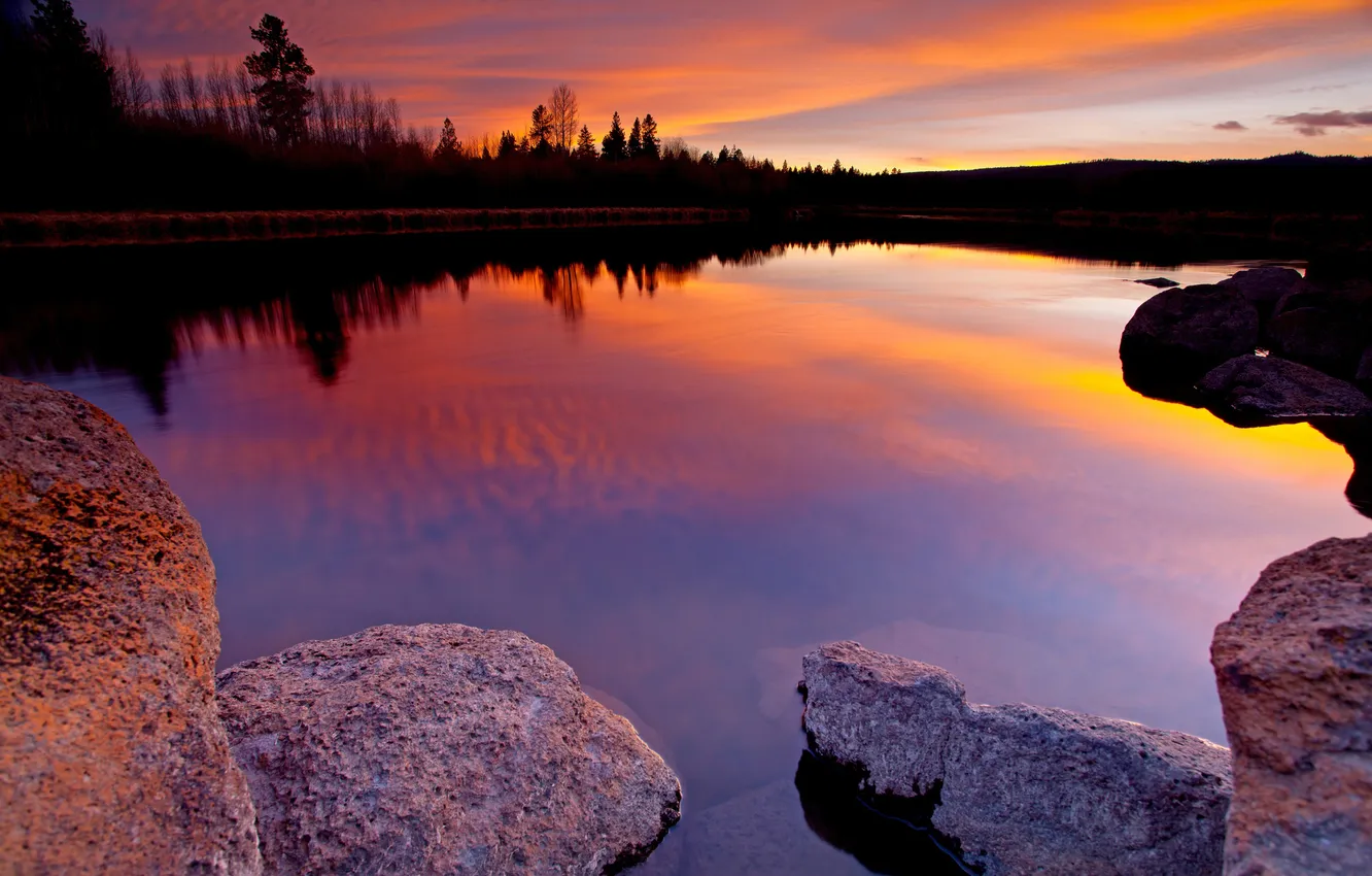 Photo wallpaper forest, sunset, lake, stones