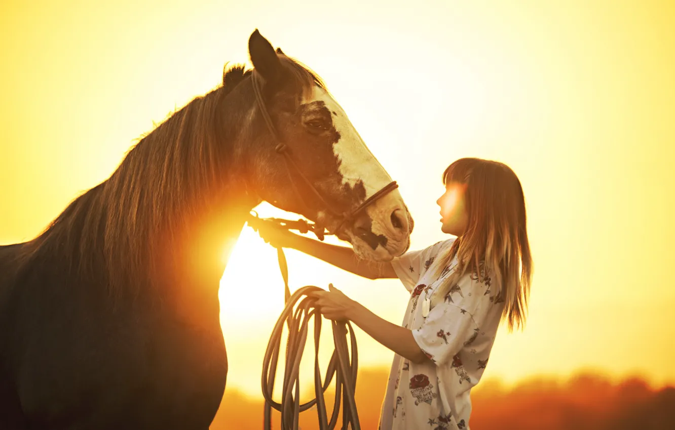 Photo wallpaper girl, light, horse